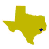 Texas icon graphic